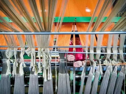 美國出口管制清單新增14類技術，特種紡織品貿易面臨新挑戰